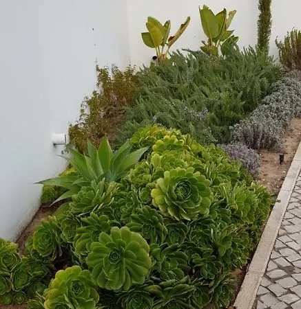 Casa Do Pai House Ferienhaus Aldeia do Meco
