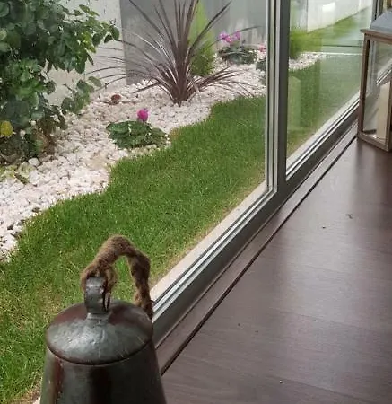 Casa Do Pai House בית נופש