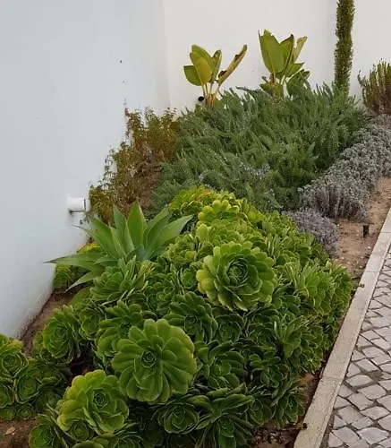 Casa Do Pai House Semesterbostad Aldeia do Meco