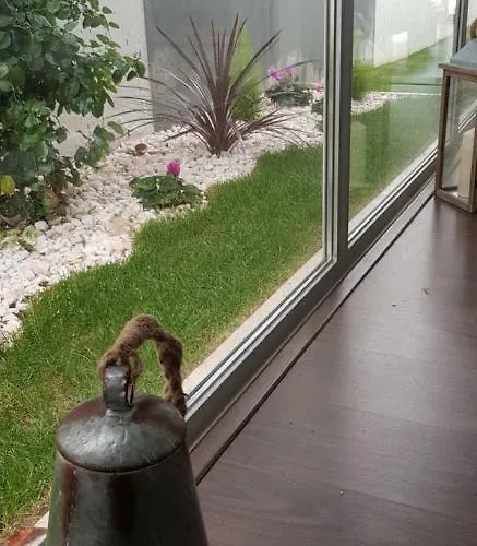 Casa Do Pai House Semesterbostad